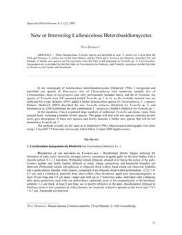 New Or Interesting Lichenicolous Heterobasidiomycetes