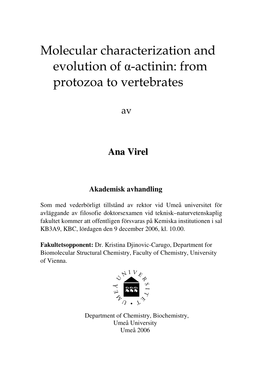 Molecular Characterization and Evolution of Α-Actinin: from Protozoa to Vertebrates