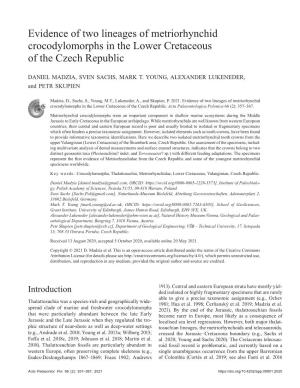Evidence of Two Lineages of Metriorhynchid Crocodylomorphs in the Lower Cretaceous of the Czech Republic