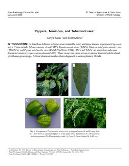 Peppers, Tomatoes, and Tobamoviruses1