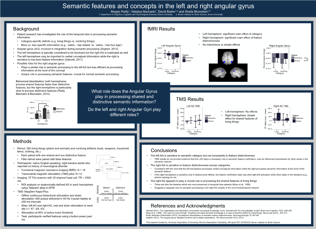 Semantic Features and Concepts in the Left and Right Angular Gyrus