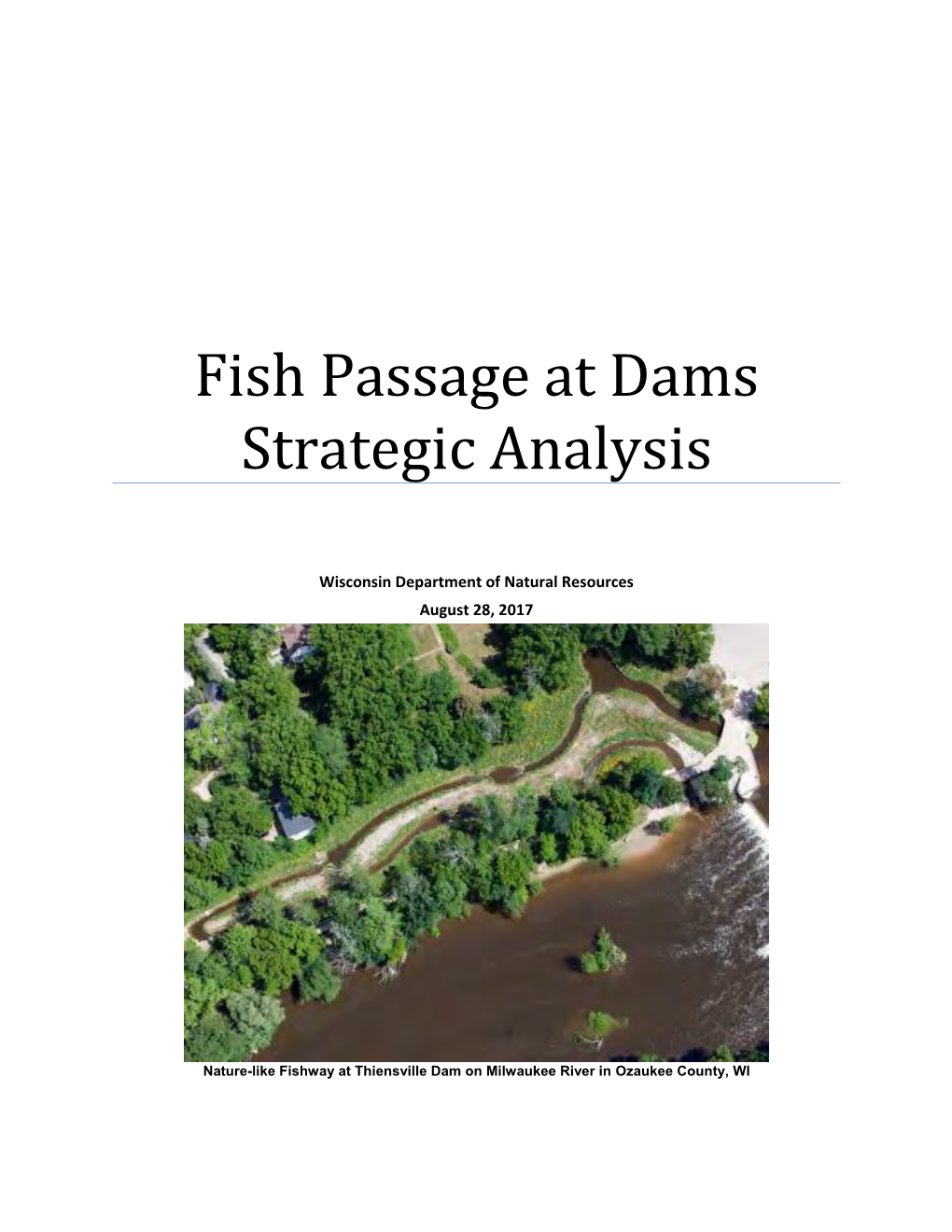 Fish Passage at Dams Strategic Analysis