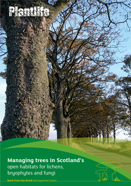 Managing Trees in Scotland's