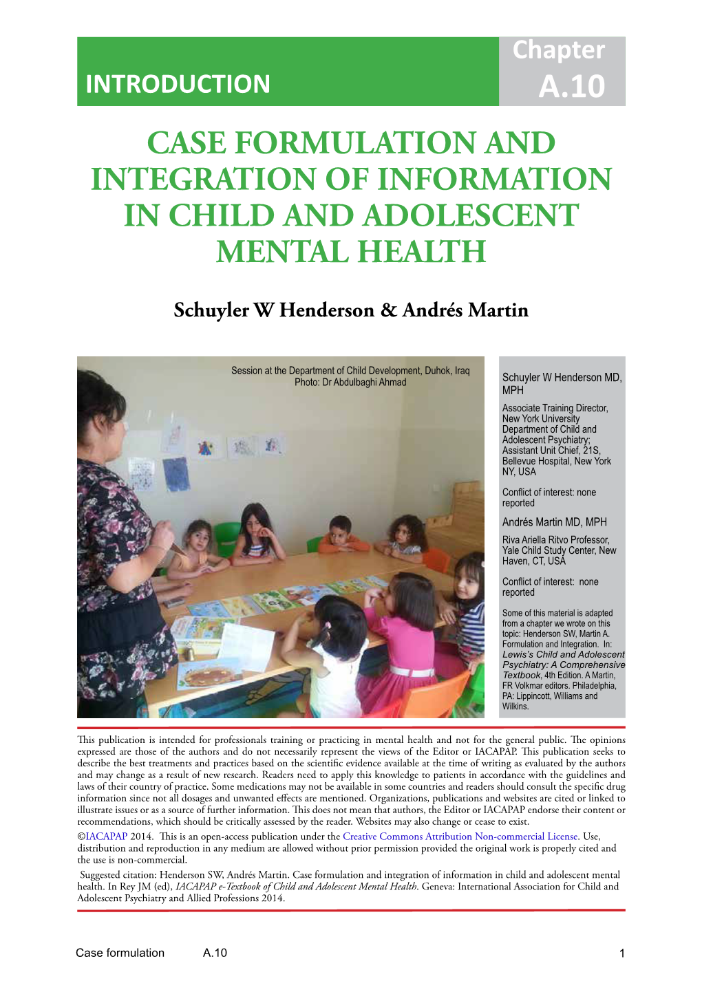 Case Formulation and Integration of Information in Child and Adolescent Mental Health