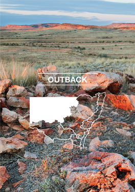 NPWS Pocket Guide 3E (Outback)