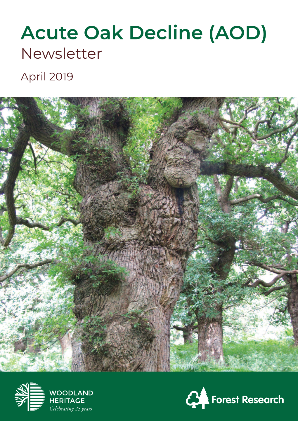 Acute Oak Decline (AOD) Newsletter April 2019