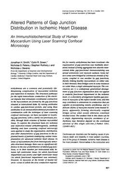 Altered Patterns of Gap Junction Distribution in Ischemic Heart Disease an Immunohistochemical Study of Human Myocardium Using Laser Scanning Confocal Microscopy