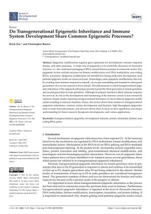 Do Transgenerational Epigenetic Inheritance and Immune System Development Share Common Epigenetic Processes?