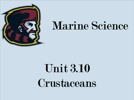 Unit 3.10 Crustaceans Marine Science