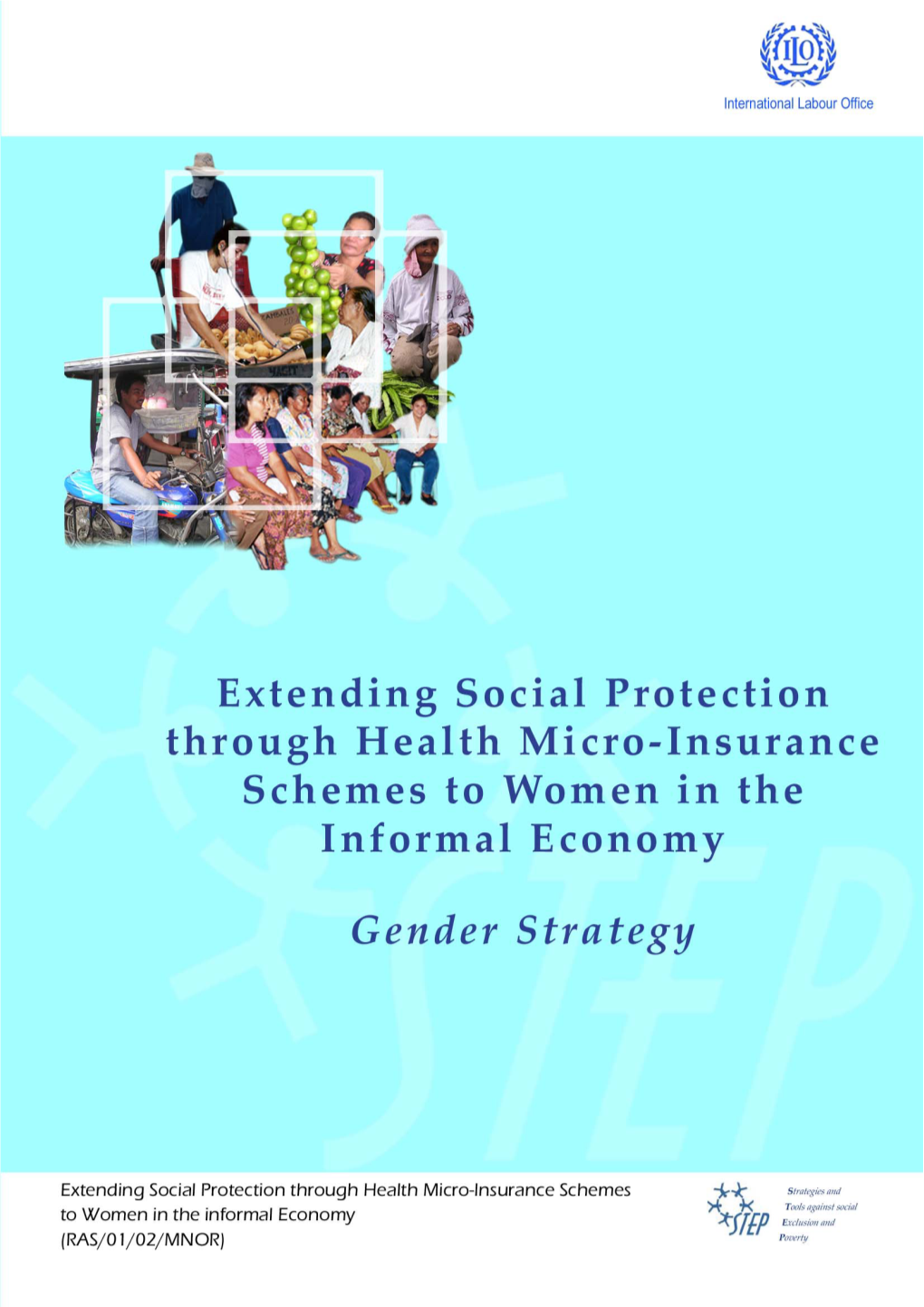 Extending Social Protection Through Health Micro-Insurance Schemes for Women in the Informal Economy RAS/01/02/MNOR