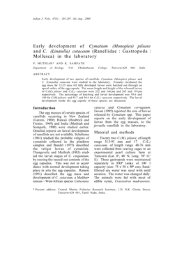 Early Development of Cymatium (Monoplex) Pileare and C