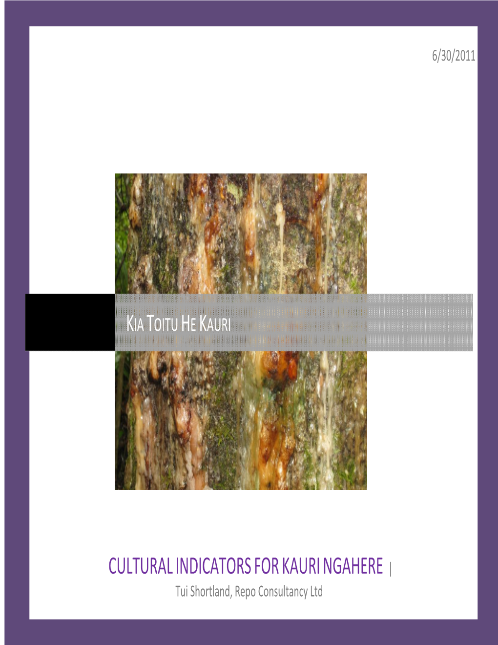 CULTURAL INDICATORS for KAURI NGAHERE | Tui Shortland, Repo Consultancy Ltd Table of Contents Kupu Whakataki