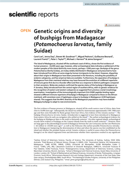 Genetic Origins and Diversity of Bushpigs from Madagascar (Potamochoerus Larvatus, Family Suidae) Carol Lee1, Jenna Day1, Steven M
