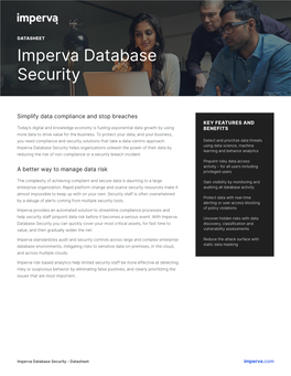 Imperva Database Security