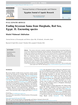 Fouling Bryozoan Fauna from Hurghada, Red Sea, Egypt. II. Encrusting Species