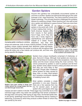 Garden Spiders Anyone Who Gardens Has Undoubtedly Encountered Spiders at One Time Or Another