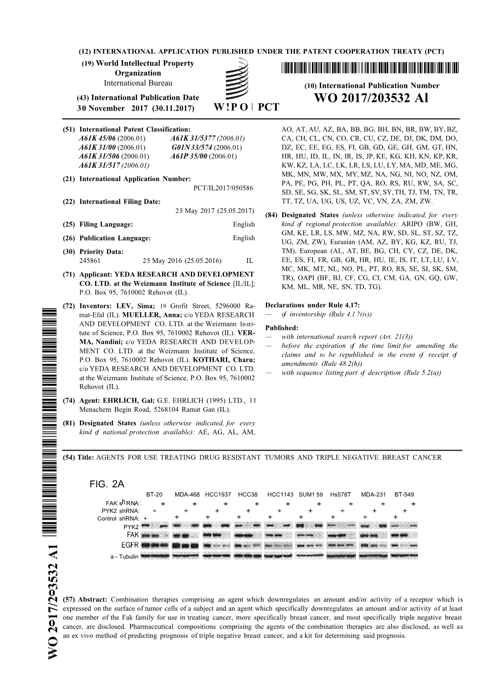 WO 2017/203532 Al 30 November 2017 (30.11.2017) W !P O PCT
