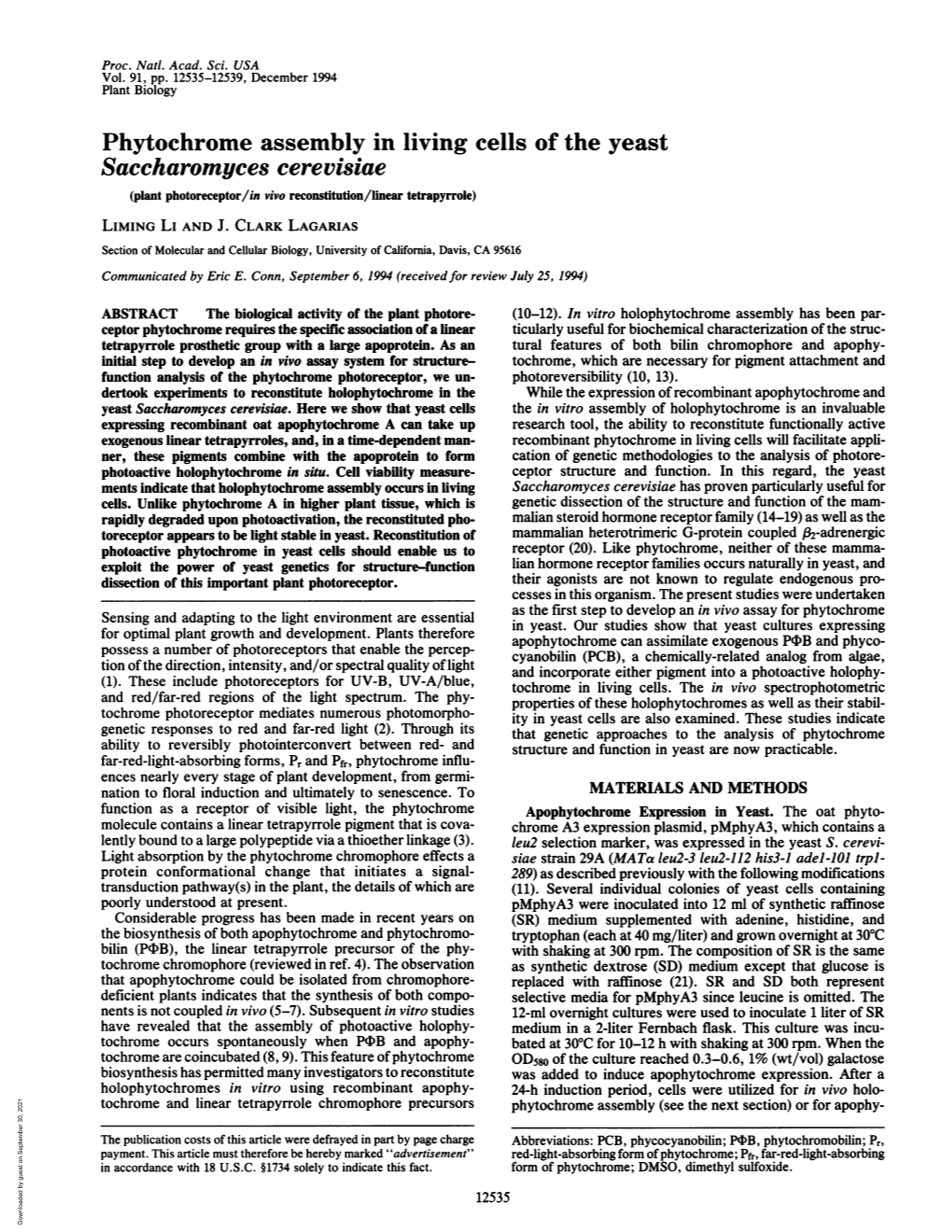 Saccharomyces Cerevisiae (Plant Photoreceptor/In Vivo Reconstitution/Linear Tetrapyrrole) LIMING LI and J