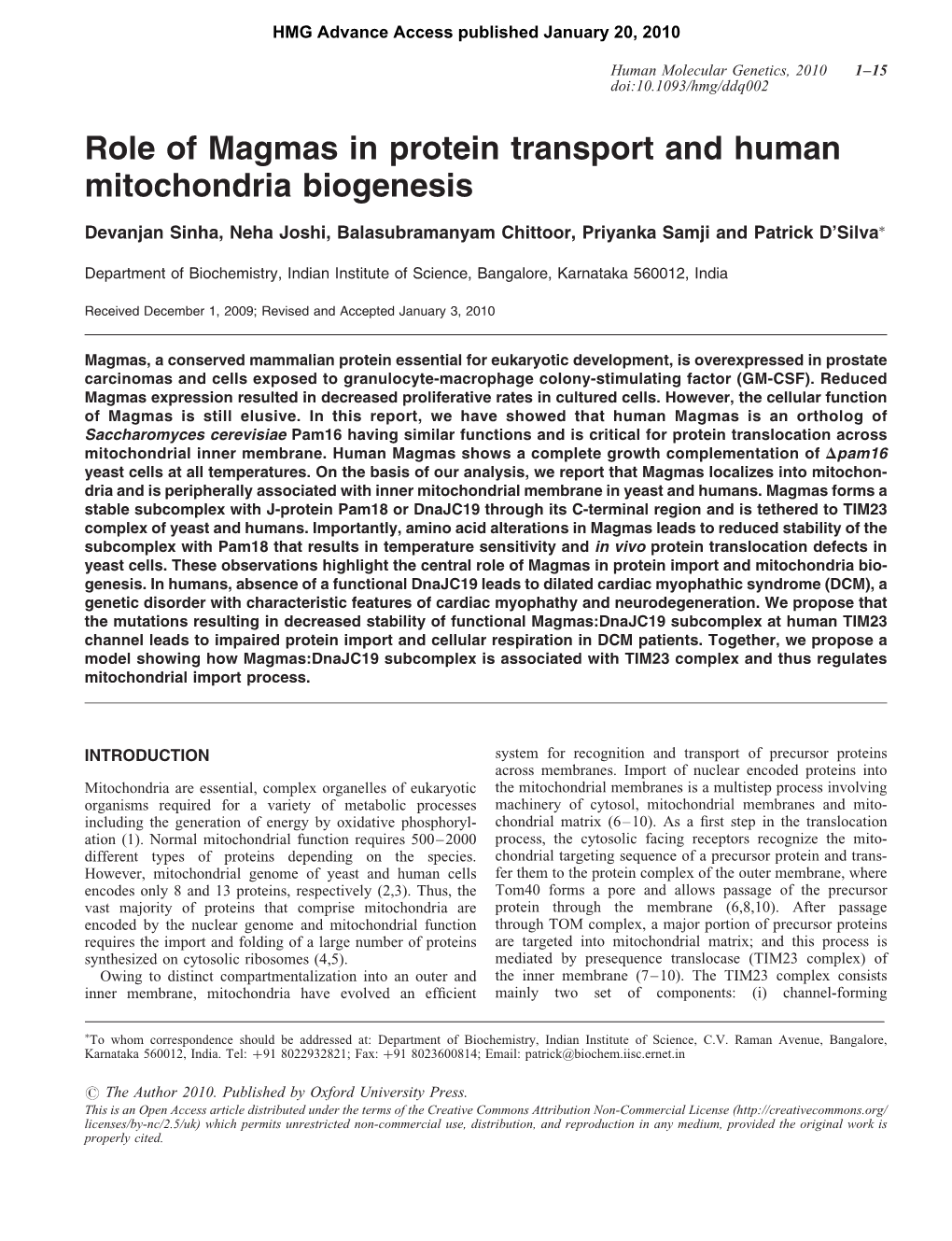 Role of Magmas in Protein Transport and Human Mitochondria Biogenesis