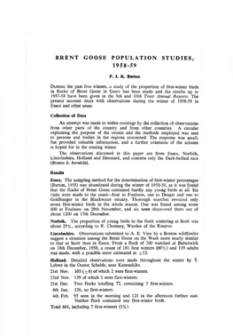 Brent Goose Population Studies, 1958-59