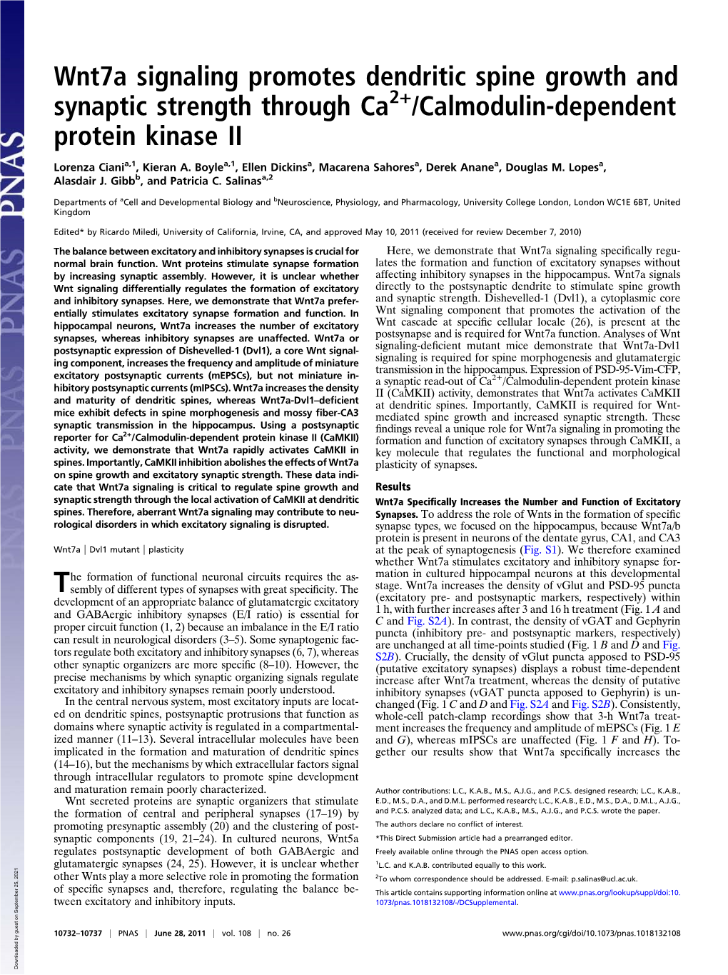 Wnt7a Signaling Promotes Dendritic Spine Growth and Synaptic Strength Through Ca2+/Calmodulin-Dependent Protein Kinase II