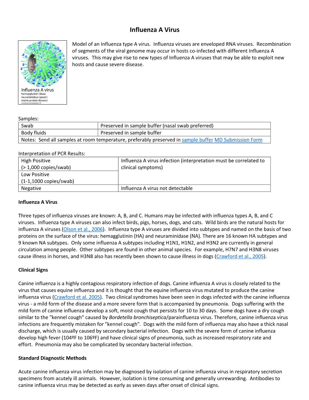 Influenza a Virus