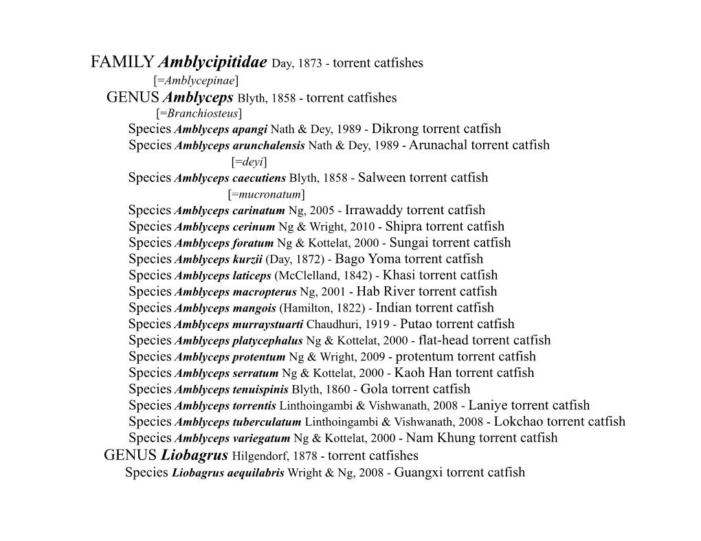 Torrent Catfishes Species Amblyceps Arunchalen