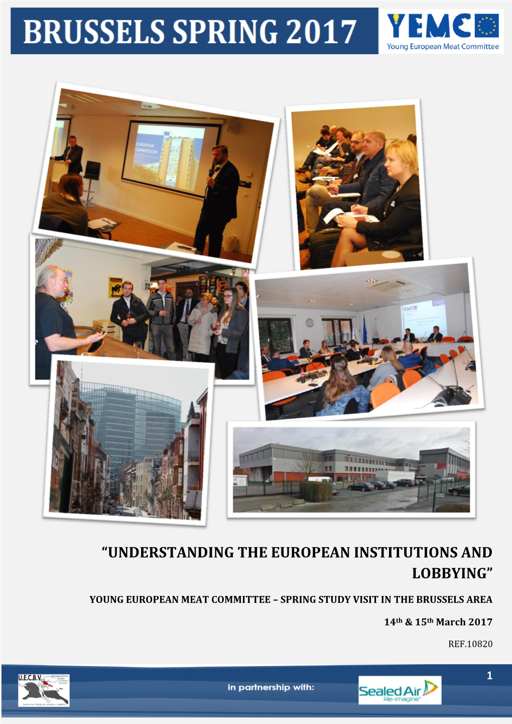 “Understanding the European Institutions and Lobbying”