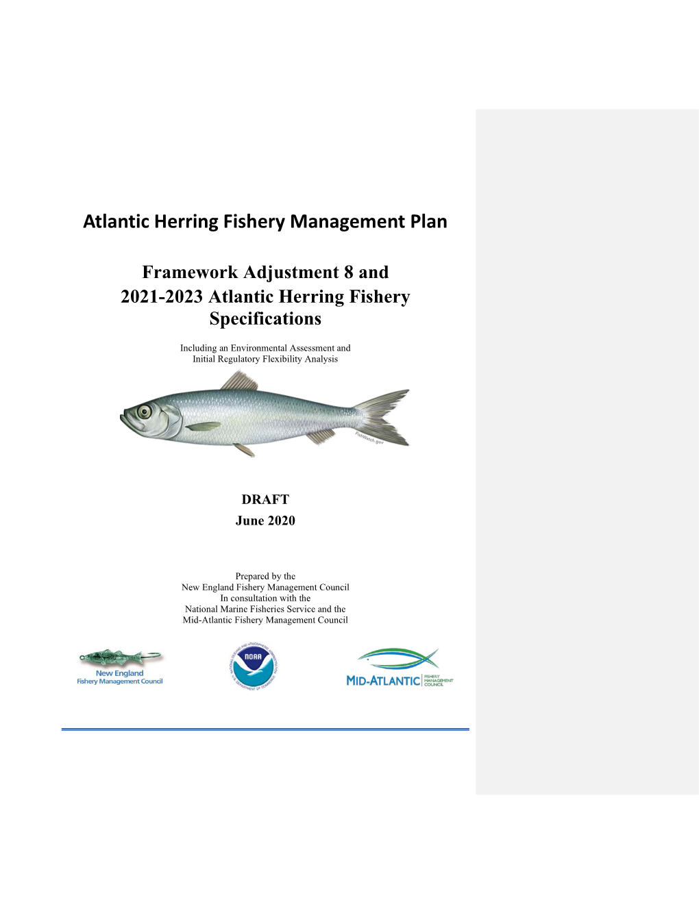 Atlantic Herring Fishery Management Plan