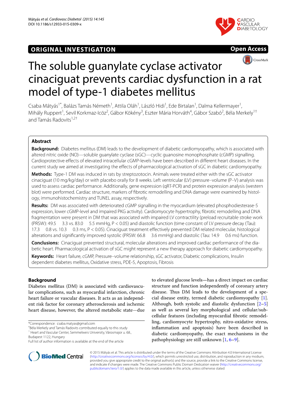 The Soluble Guanylate Cyclase Activator Cinaciguat Prevents