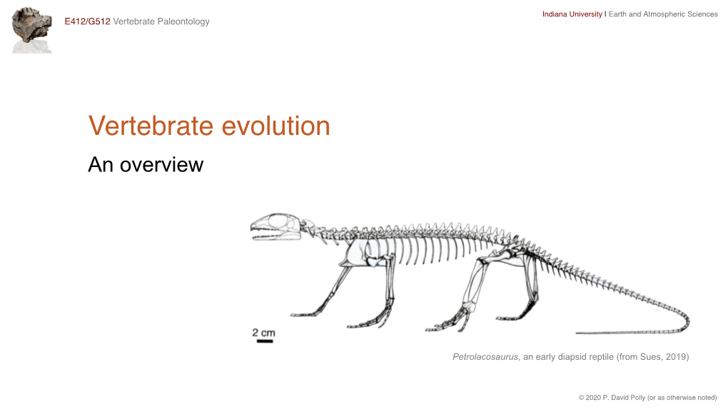 Vertebrate Evolution an Overview