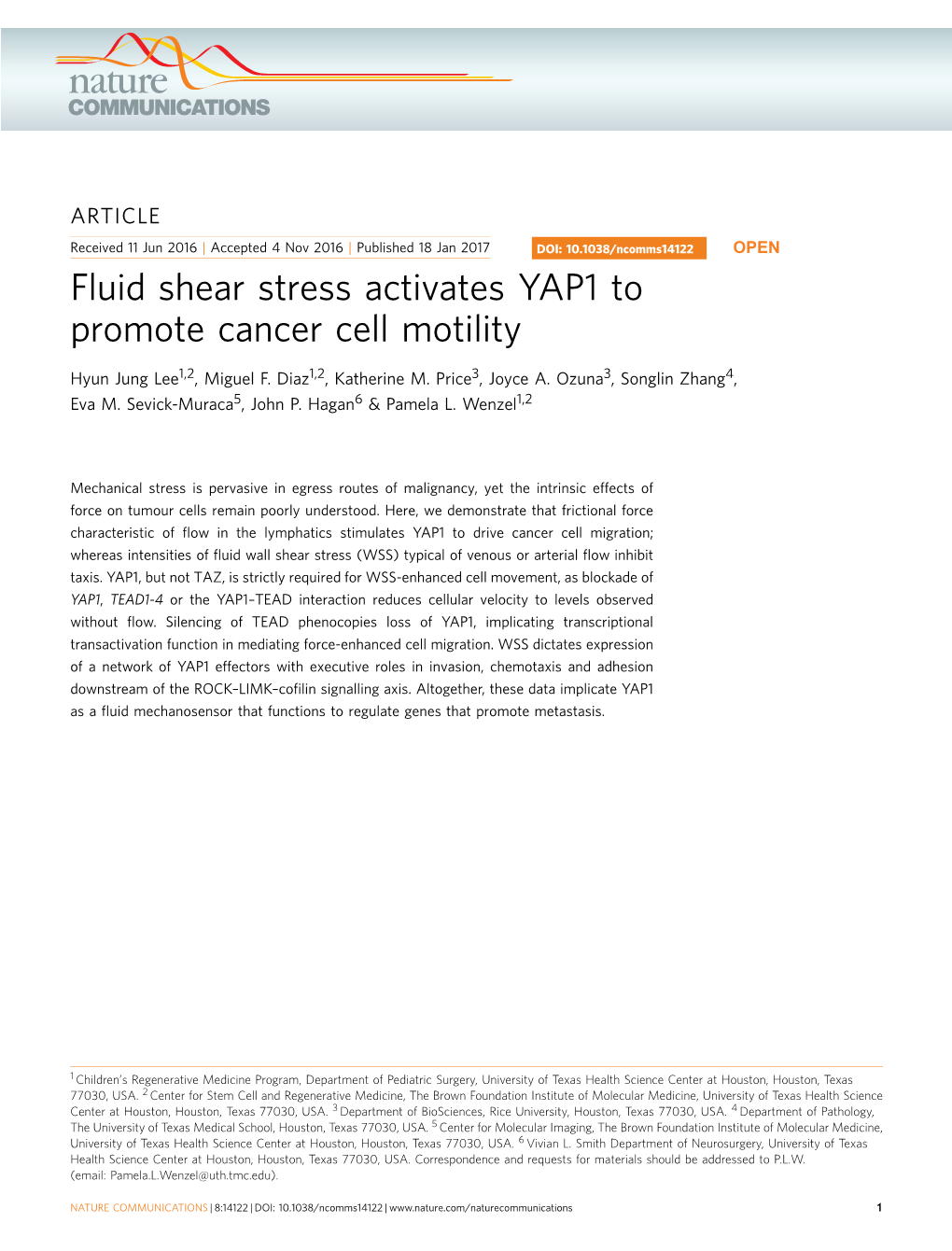 Fluid Shear Stress Activates YAP1 to Promote Cancer Cell Motility