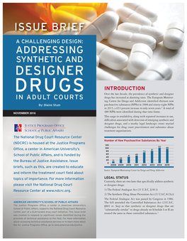 Addressing Synthetic and Designer Drugs in Adult Court