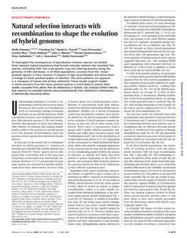 Natural Selection Interacts with Recombination to Shape the Evolution of Hybrid Genomes Molly Schumer, Chenling Xu, Daniel L