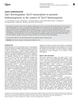 Jdp2 Downregulates Trp53 Transcription to Promote Leukaemogenesis in the Context of Trp53 Heterozygosity