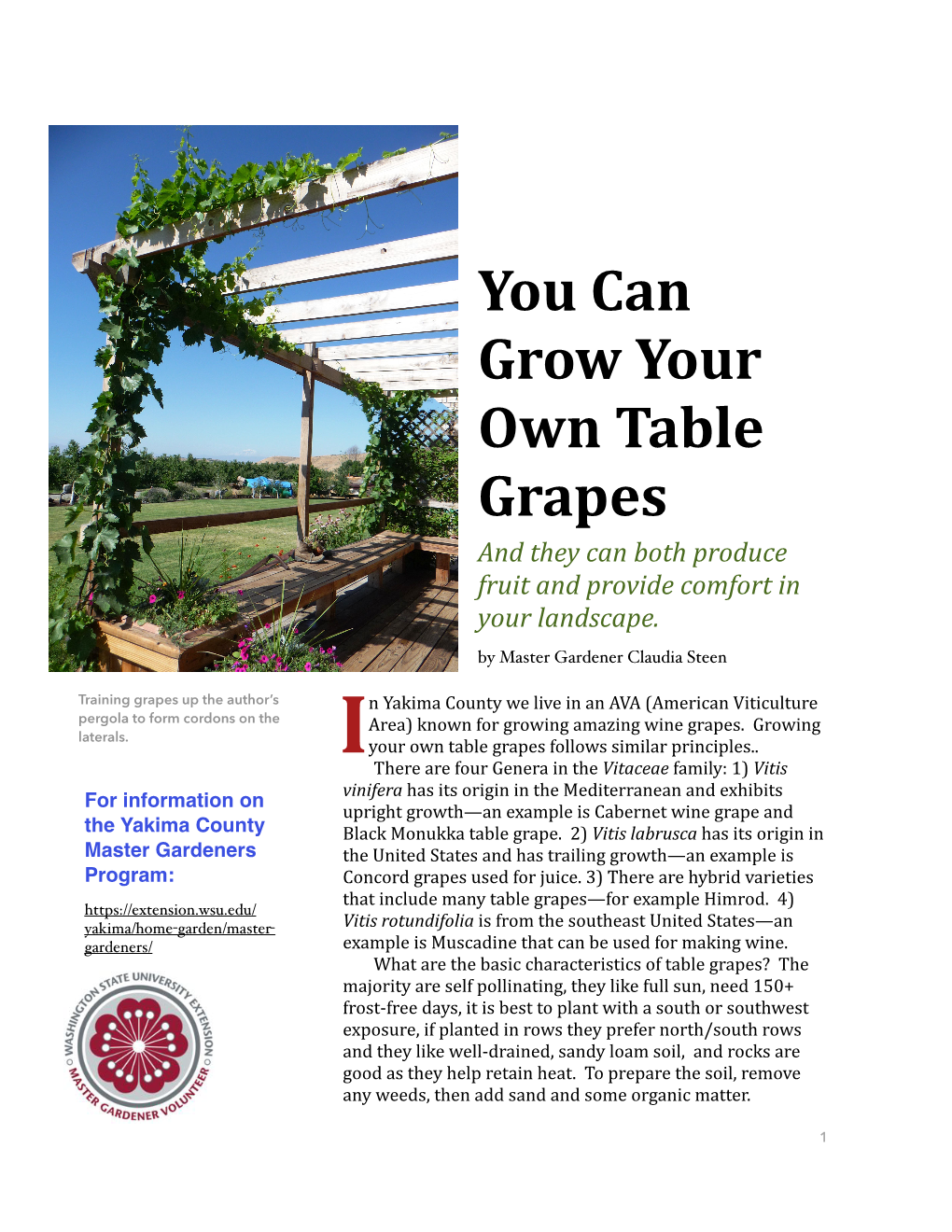 You Can Grow Your Own Table Grapes and They Can Both Produce Fruit and Provide Comfort in Your Landscape