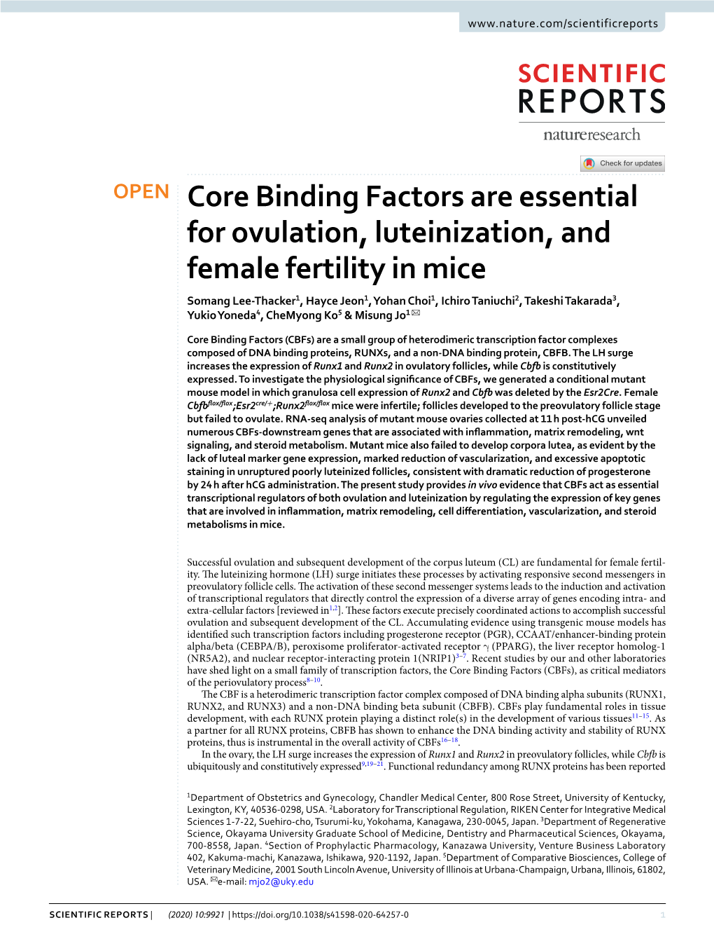 Core Binding Factors Are Essential for Ovulation, Luteinization, and Female