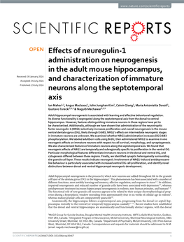 Effects of Neuregulin-1 Administration on Neurogenesis in the Adult Mouse