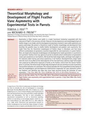 Theoretical Morphology and Development of Flight Feather Vane Asymmetry with Experimental Tests in Parrots TERESA J
