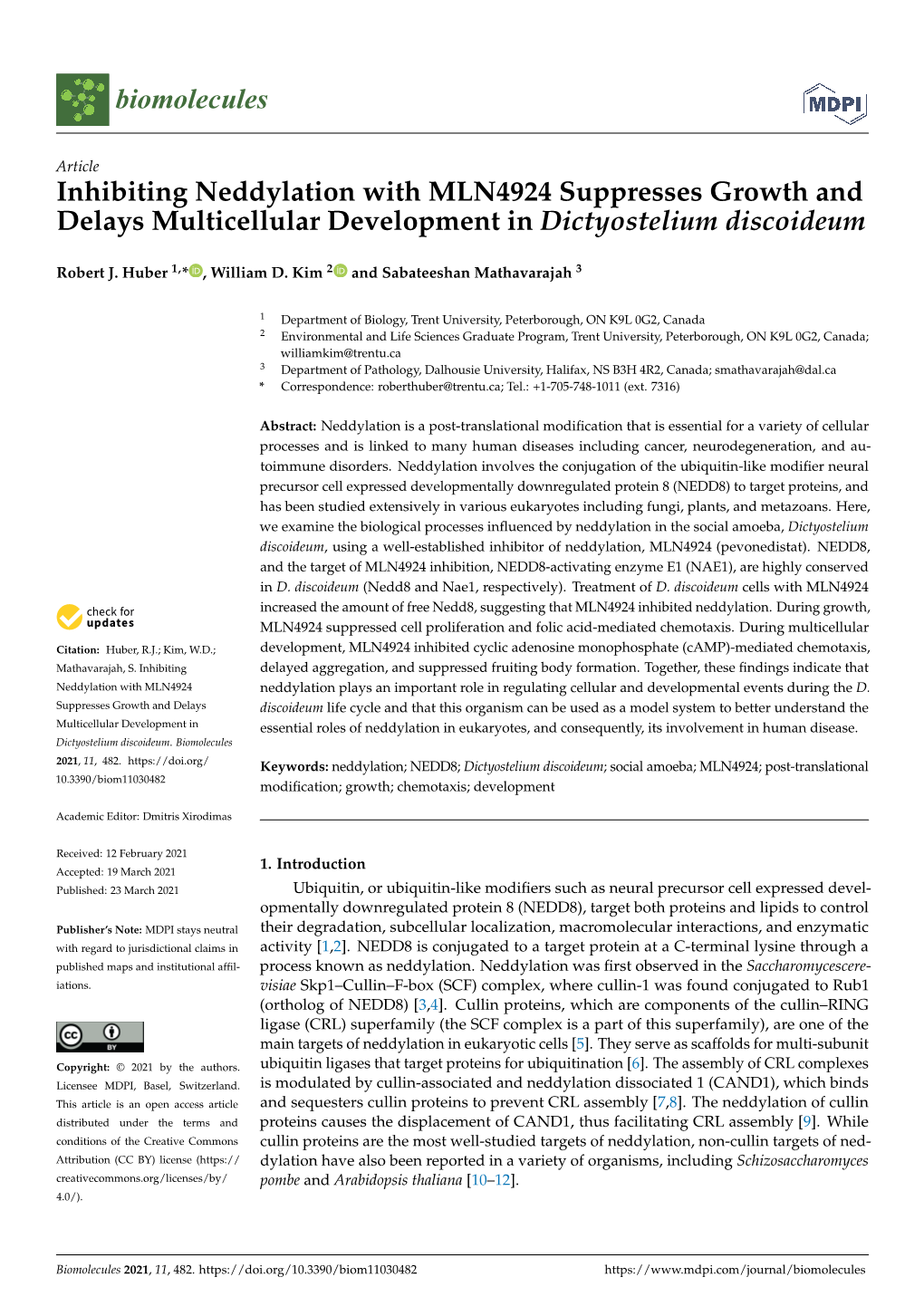 Inhibiting Neddylation with MLN4924 Suppresses Growth and Delays Multicellular Development in Dictyostelium Discoideum