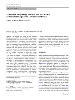 Macroalgal Morphology Mediates Particle Capture by the Corallimorpharian Corynactis Californica