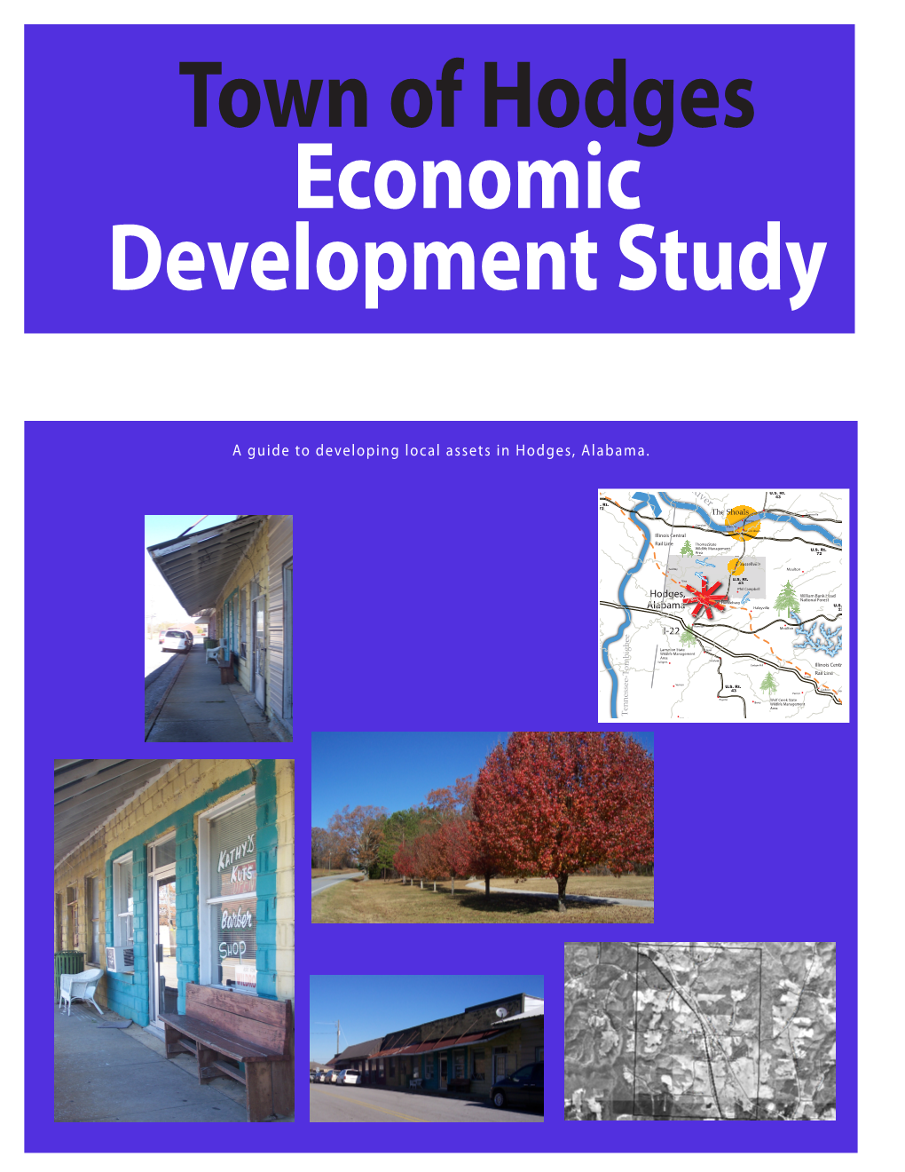 Hodges Economic Development Study