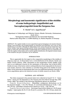 Morphology and Taxonomic Significance of the Otoliths of Some Bathypelagic Anguilloidei and Saccopharyngoidei from the Sargasso Sea