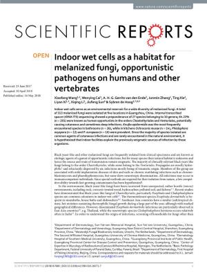 Indoor Wet Cells As a Habitat for Melanized Fungi, Opportunistic