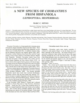 A New Species of Choranthus from Hispaniola (Lepidoptera: Hesperiidae)