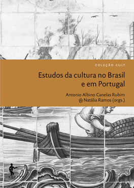 Estudos Da Cultura No Brasil E Em Portugal