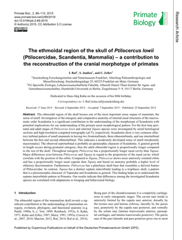 The Ethmoidal Region of the Skull of Ptilocercus Lowii