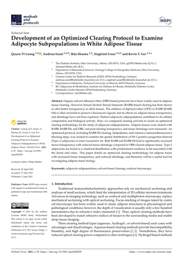 Development of an Optimized Clearing Protocol to Examine Adipocyte Subpopulations in White Adipose Tissue