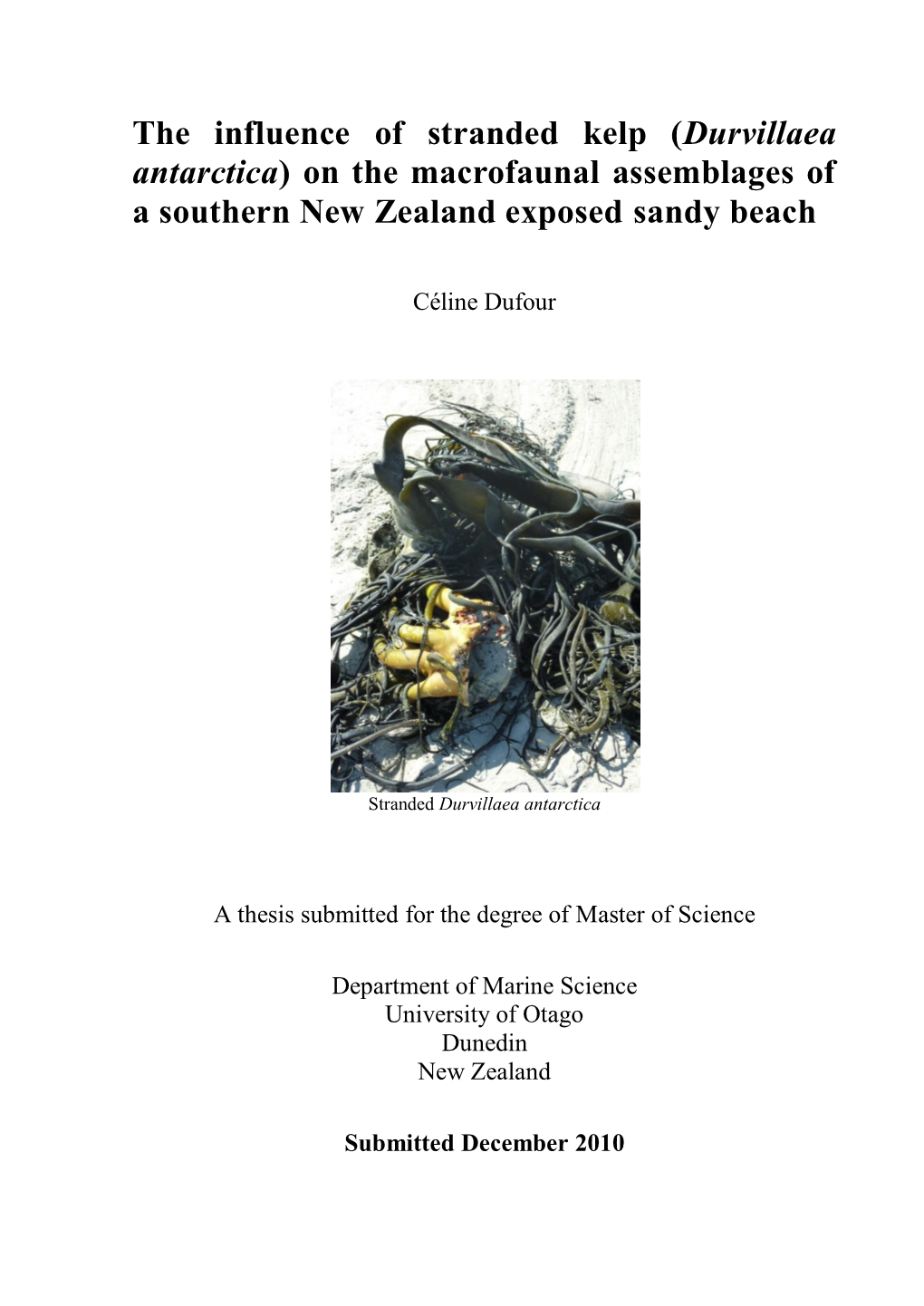 The Influence of Stranded Kelp (Durvillaea Antarctica) on the Macrofaunal Assemblages of a Southern New Zealand Exposed Sandy Beach