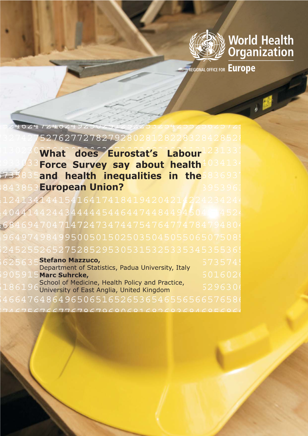 What Does Eurostat's Labour Force Survey Say About Health and Health Inequalities in the European Union?